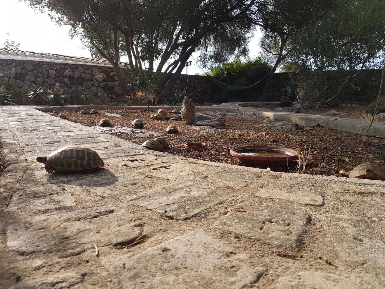 Turismo Rural Biniati Des Pi Sant Lluís Exterior foto